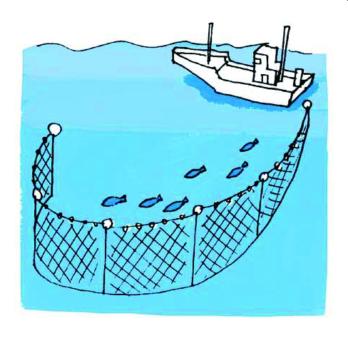 漁法：図解