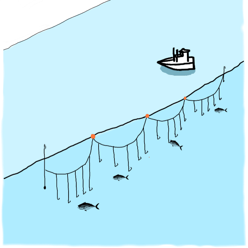 漁法：図解